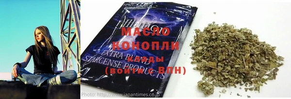 индика Богородицк