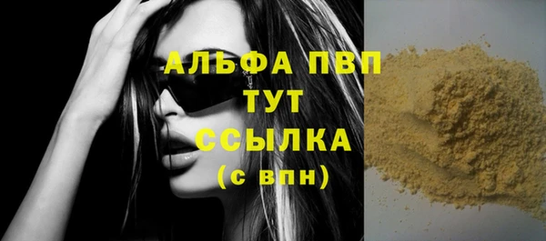 индика Богородицк