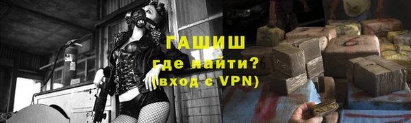 индика Богородицк