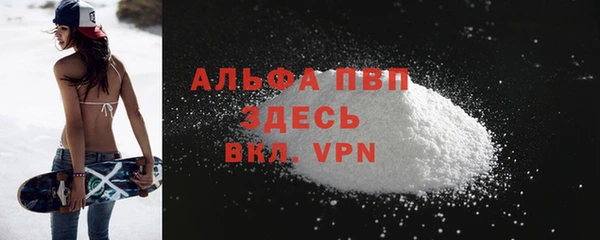 индика Богородицк