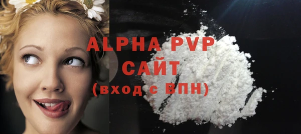 индика Богородицк