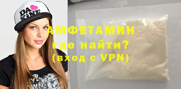 индика Богородицк