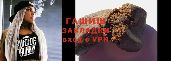 индика Богородицк