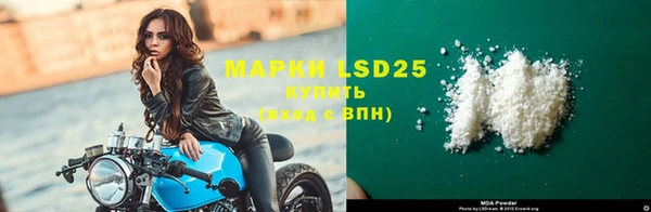 индика Богородицк