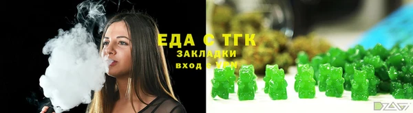 индика Богородицк