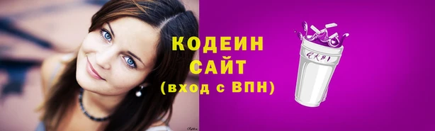 индика Богородицк