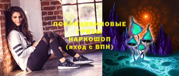 индика Богородицк