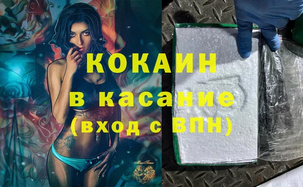 индика Богородицк