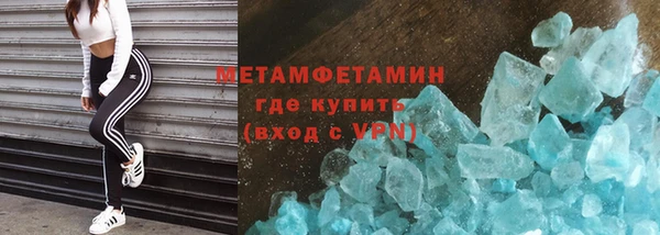 индика Богородицк